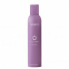 EMSIBETH STYLE PROOF HAIRSPRAY LACCA SPRAY 300ML