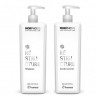 Framesi Morphosis Restructure Kit Shampoo 1000 ml + Conditioner 1000 ml